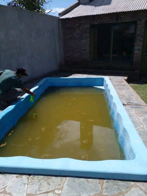 Pileta con agua deteriorada antes del tratamiento